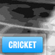 Cricket
